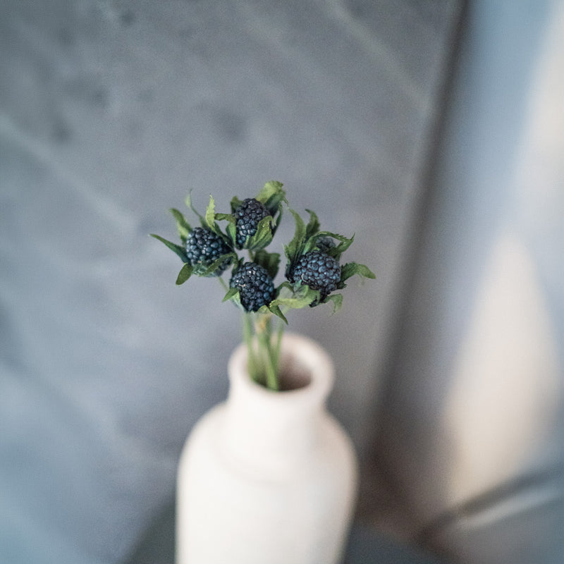 Panicaut thistle in turquoise blue paper