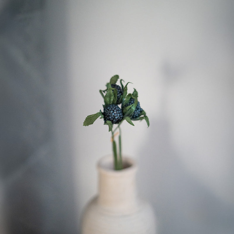 Panicaut thistle in turquoise blue paper