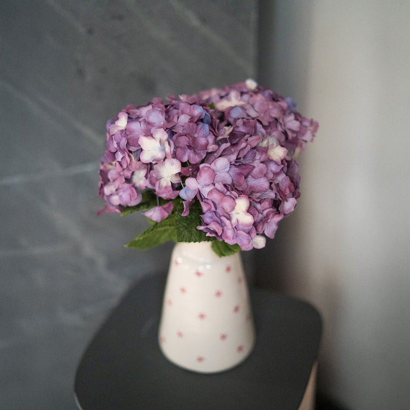 Marbled purple paper hydrangea