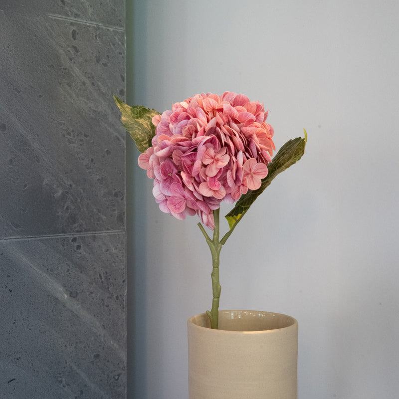 item3167 hortensia rosa