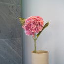 item3167 hortensia rosa