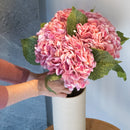 item3167 hortensia rosa