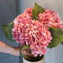 item3167 hortensia rosa
