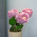 Item3173 Purple pink