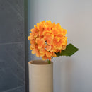 Item3181 Hortensia Orange
