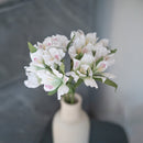 Lirios incas en papel blanco y verde.