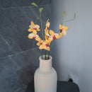 Orquídea Vanda en papel amarillo.