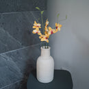 Orquídea Vanda en papel amarillo.