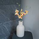 Orquídea Vanda en papel amarillo.