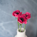 Anémona de papel fucsia pequeña