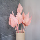 Petites feuilles de palme rose