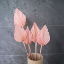 Petites feuilles de palme rose