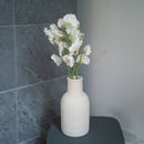 Guisantes de olor en papel blanco y verde.