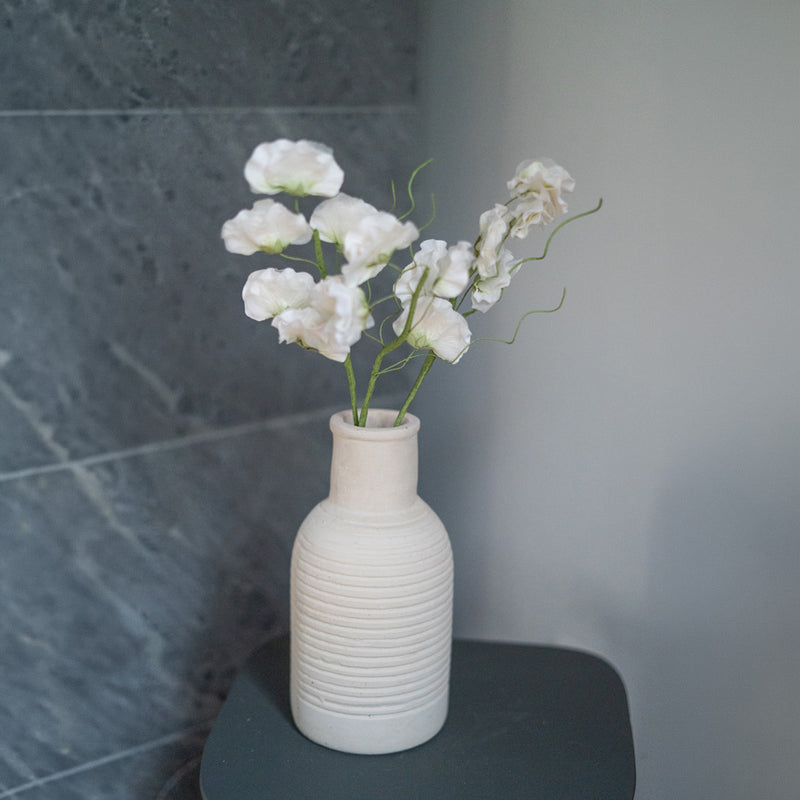 Guisantes de olor en papel blanco y verde.