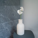 Guisantes de olor en papel blanco y verde.