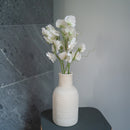 Guisantes de olor en papel blanco y verde.