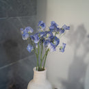 Sweet peas in blue paper
