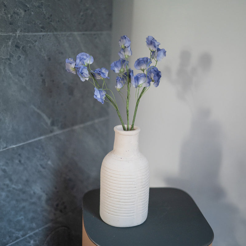 Sweet peas in blue paper