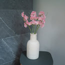 Guisantes de olor en papel rosa claro