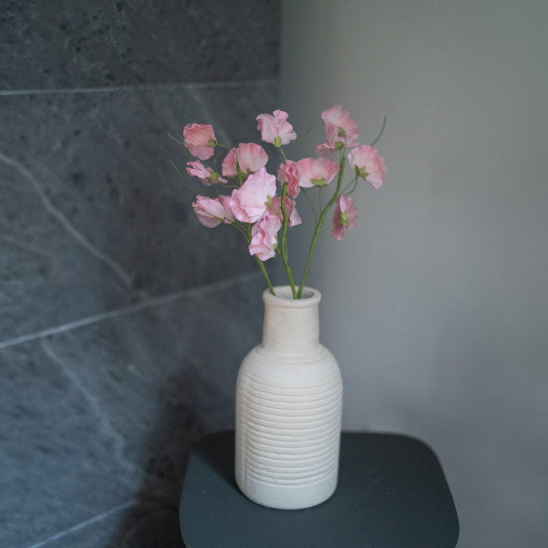 Guisantes de olor en papel rosa claro