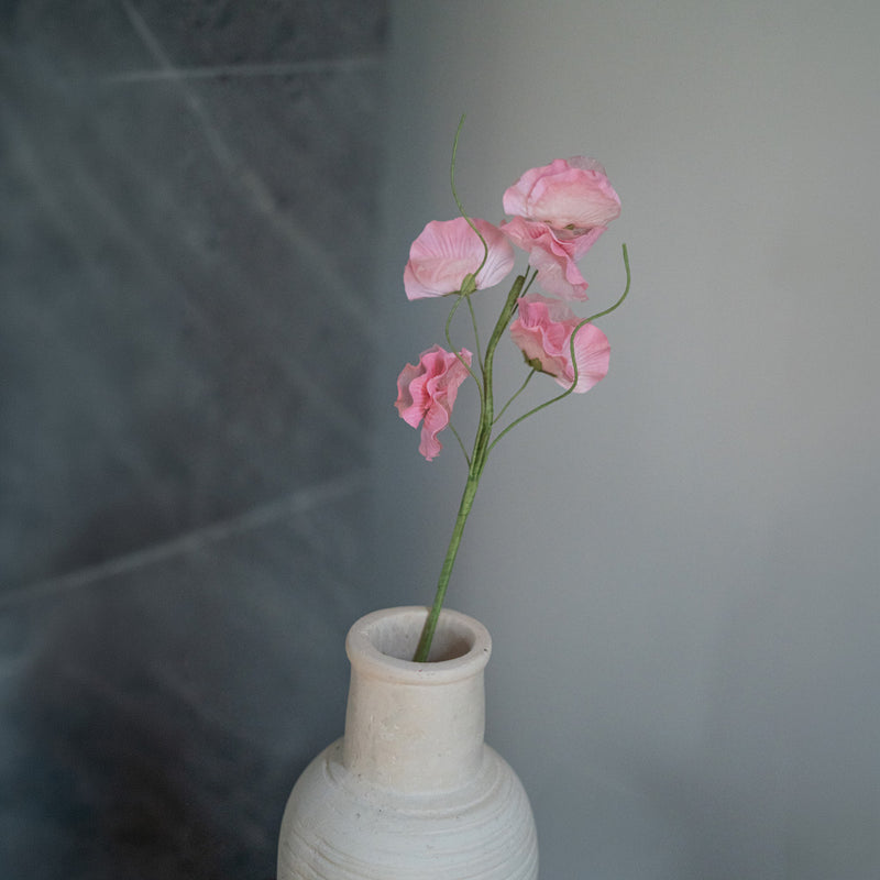 Guisantes de olor en papel rosa claro