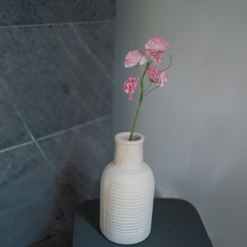 Guisantes de olor en papel rosa claro