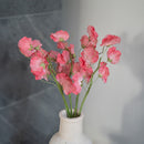 Guisantes de olor en papel rosa oscuro