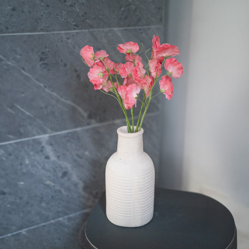 Guisantes de olor en papel rosa oscuro