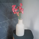 Guisantes de olor en papel rosa oscuro