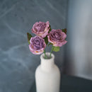 Rose Lady in purple paper