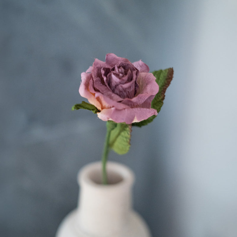 Rose Lady in purple paper