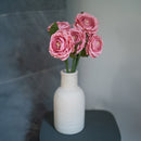 English rose in soft pink paper