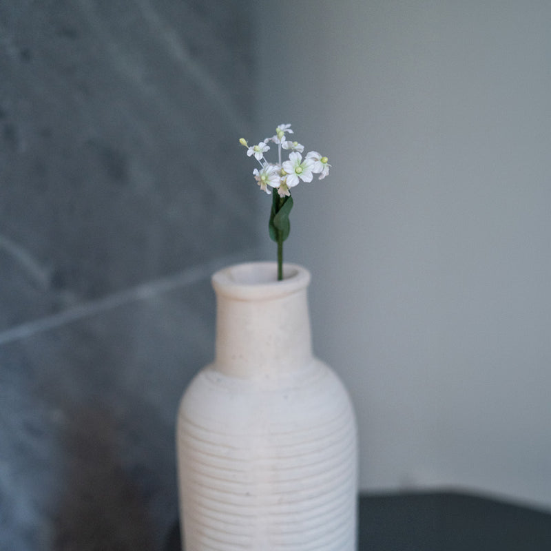 White paper fairy fan flower