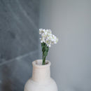 White paper fairy fan flower