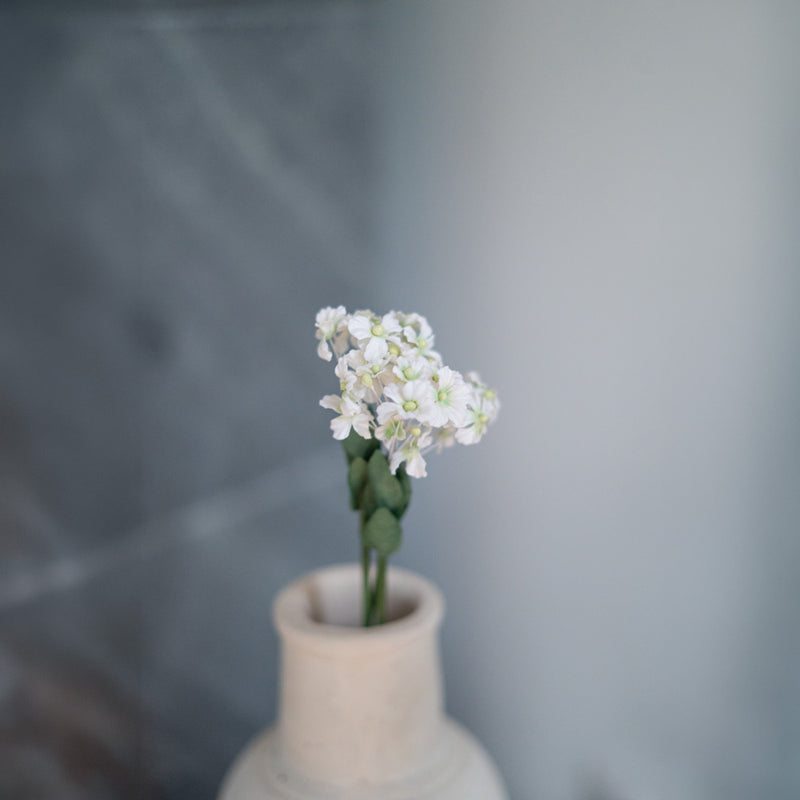 White paper fairy fan flower