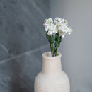 White paper fairy fan flower