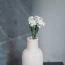 White paper fairy fan flower