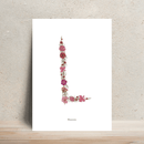 Affiche A4 herbier lettre rose