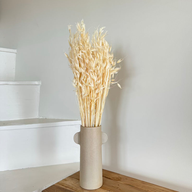 Botte fleurs séchées Avoine Blanc