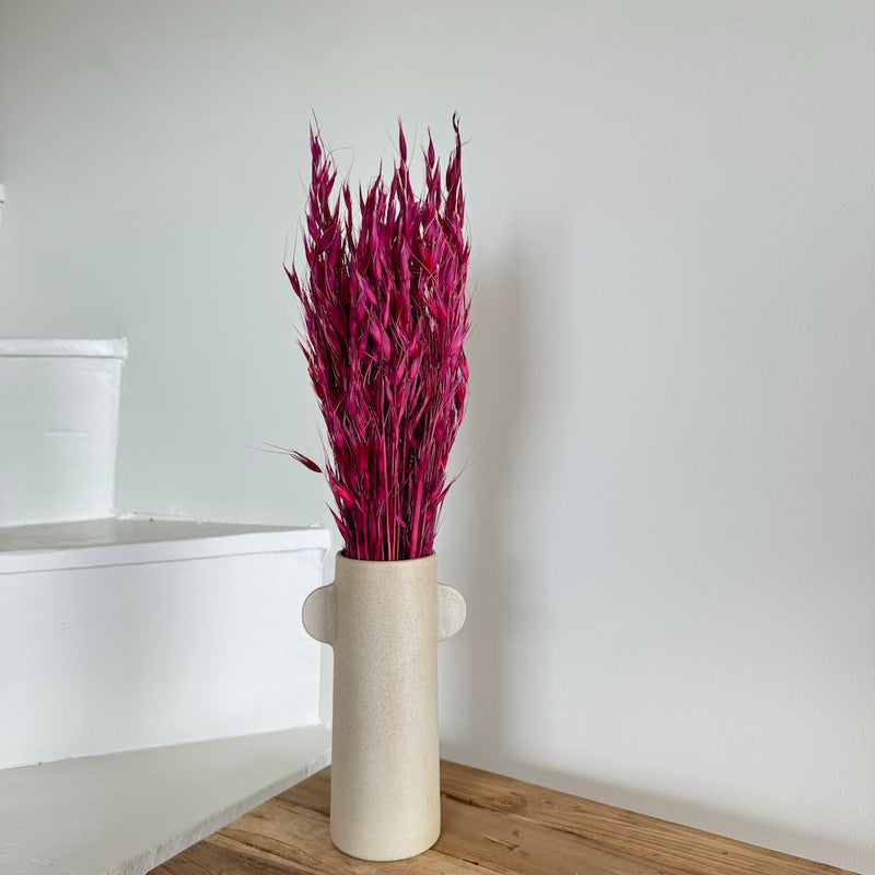 Botte fleurs séchées Avoine Bordeaux (Copy)