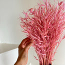 Botte fleurs séchées Avoine Lilas