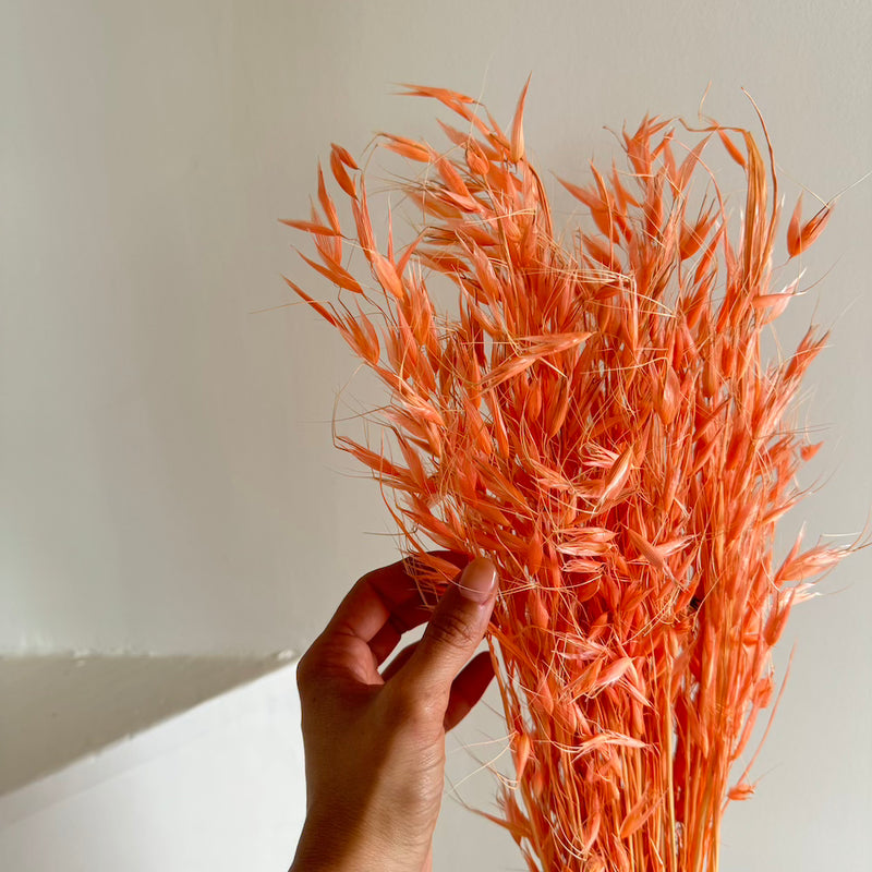 Botte fleurs séchées Avoine Pêche