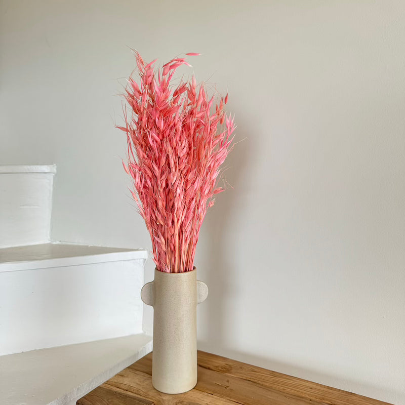 Botte fleurs séchées Avoine Vieux rose