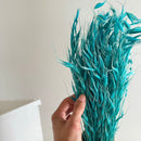 Botte fleurs séchées Avoine Turquoise