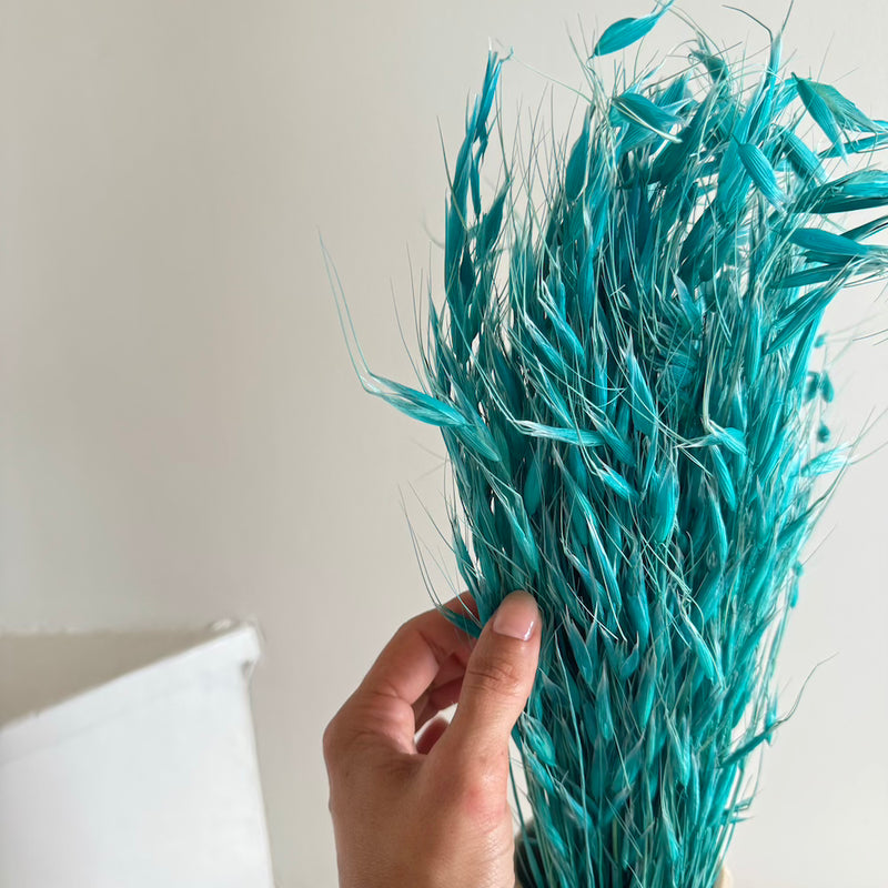 Botte fleurs séchées Avoine Turquoise