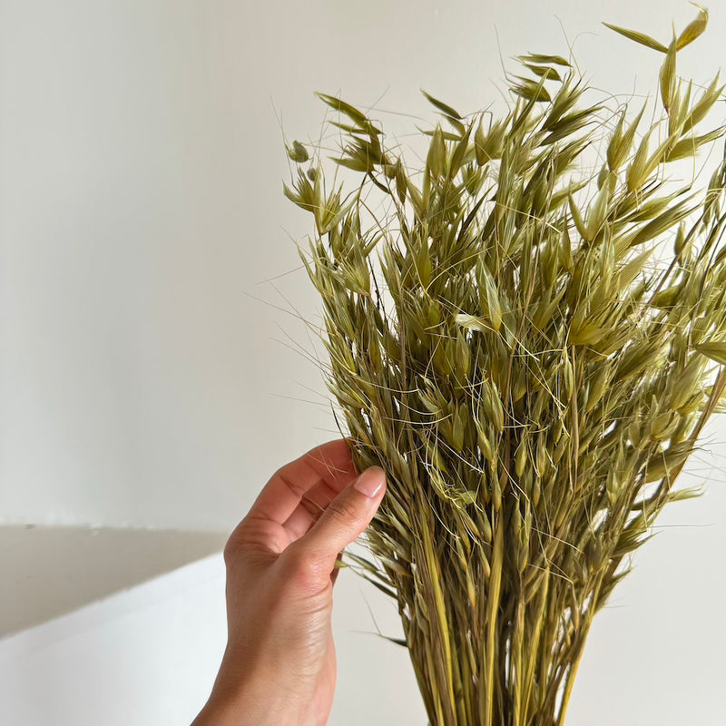 Botte fleurs séchées Avoine Vert olive
