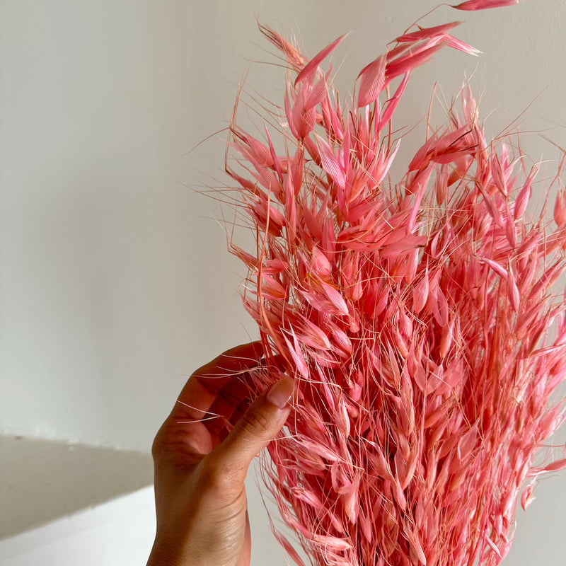 Botte fleurs séchées Avoine Vieux rose