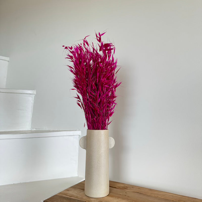 Botte fleurs séchées Avoine Magenta
