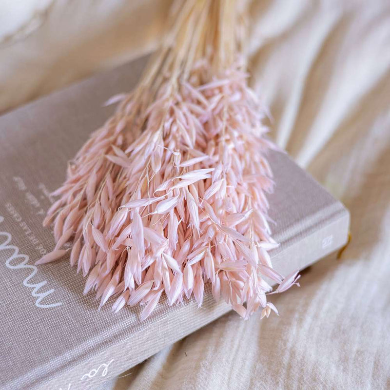 fleurs-sechees-a-la-botte-rose