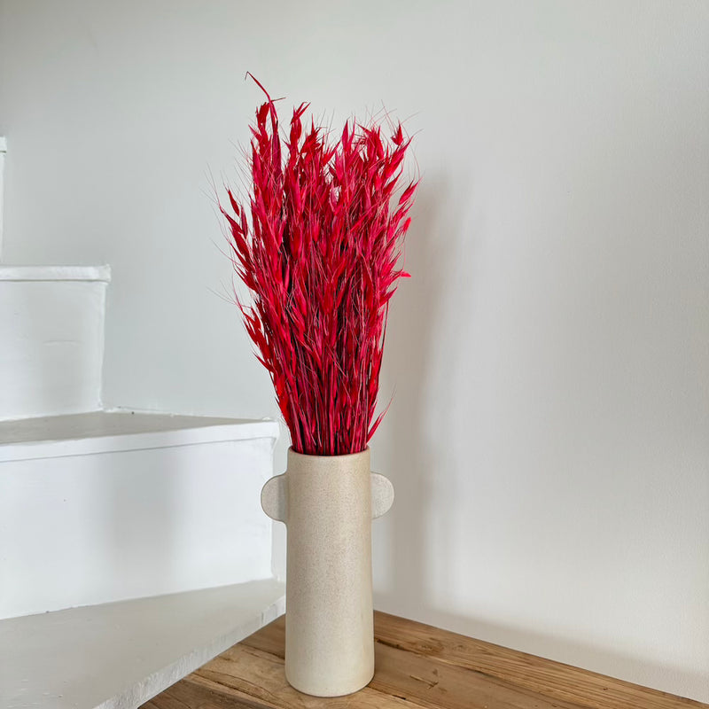 Botte d'Avoine Rouge